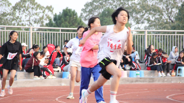 常德德才科技職業學校,常德招生就業,電子商務專業學校,專業學校報考哪里好 常德德才科技職業學校,常德招生就業,電子商務專業學校,專業學校報考哪里好